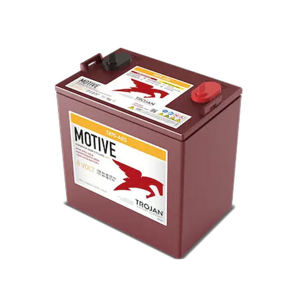 Trojan T875-AES 8V Deep-Cycle AGM Battery