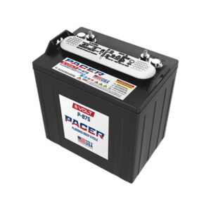 Pacer P-875 8V Deep-Cycle Flooded Battery